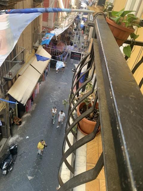 House Spagnoli